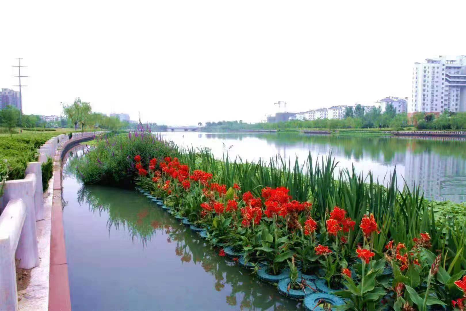 农村地表水污染治理的必要性
